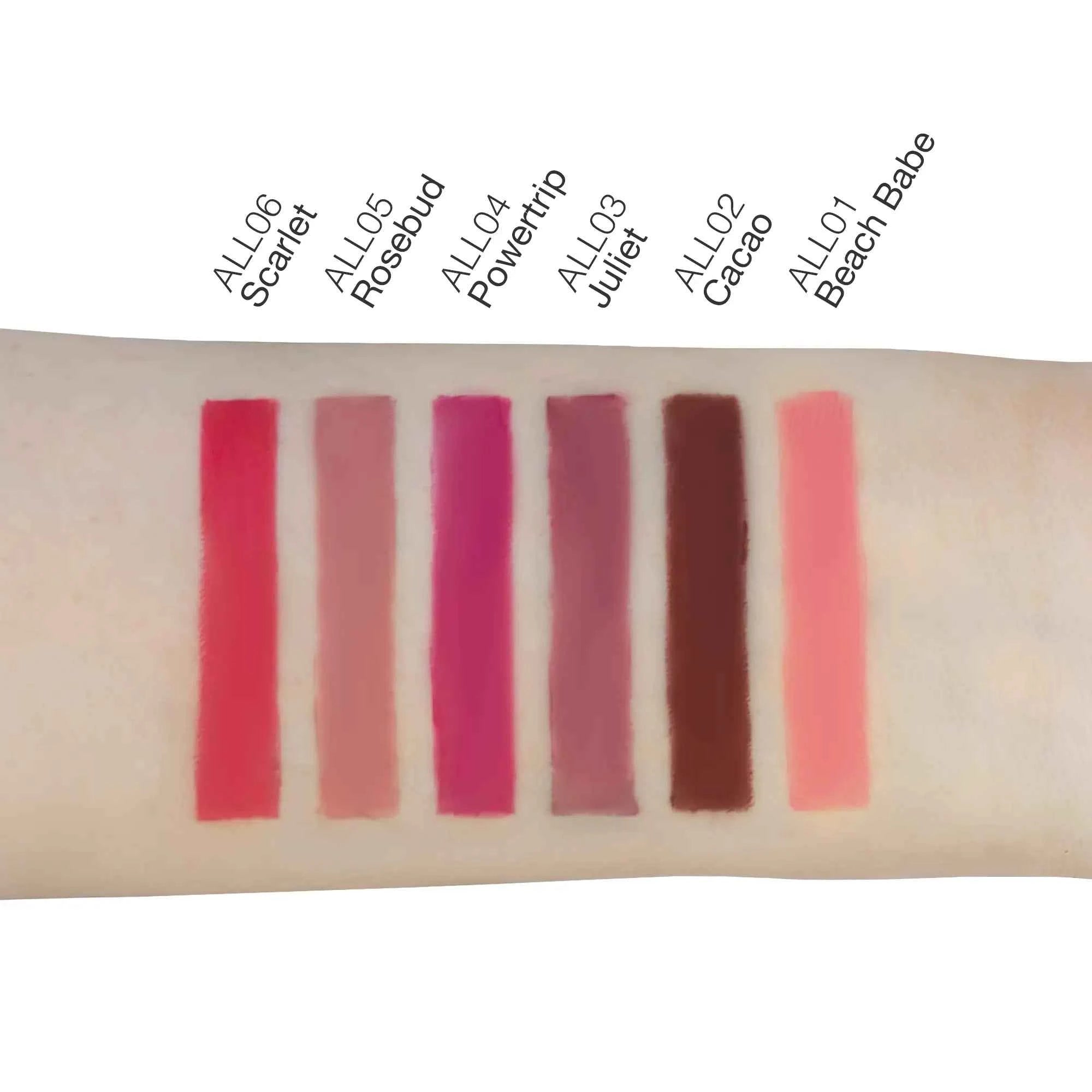 ALL-Automatic-Lip-Liner-Lady_Burd_BLNK-LB-01-01-RL-ALL_13cb7dd4-86be-4492-94e3-8f82f566508c - Glaze & Gloss
