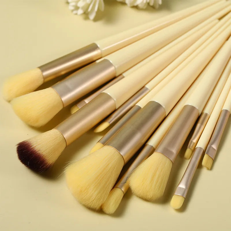 Luxury 13-Piece Face & Eye Makeup Brush Set